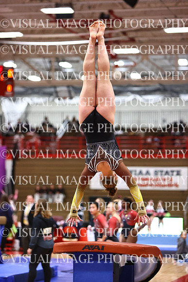WIGYMG26_VAULT_T0033