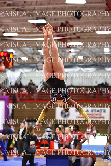 WIGYMG26_VAULT_T0034