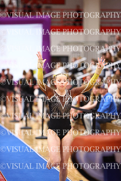 WIGYMG26_VAULT_T0035