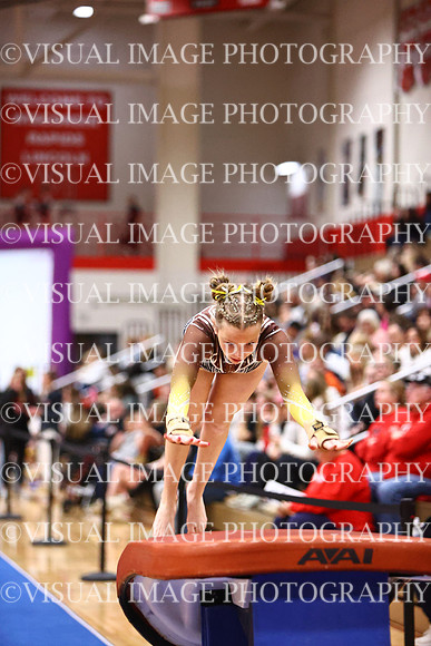 WIGYMG26_VAULT_T0037