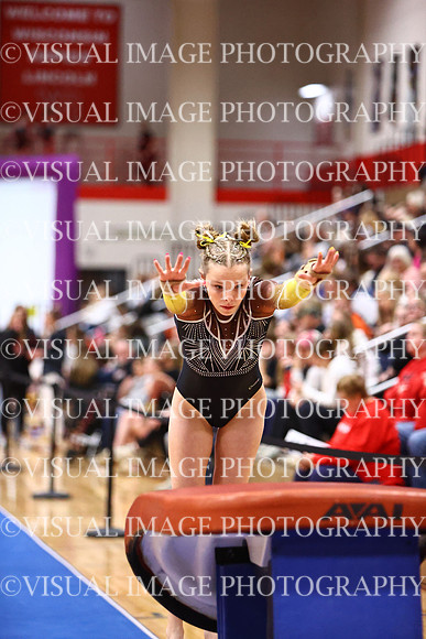 WIGYMG26_VAULT_T0036