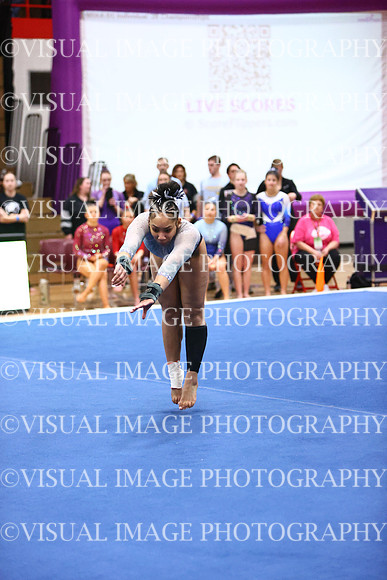 WIGYMG26_FLOOR_I0033