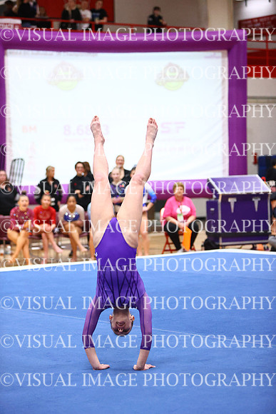 WIGYMG26_FLOOR_I0049