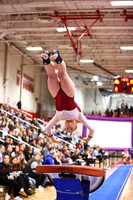 WIGYMG26_VAULT_I0003