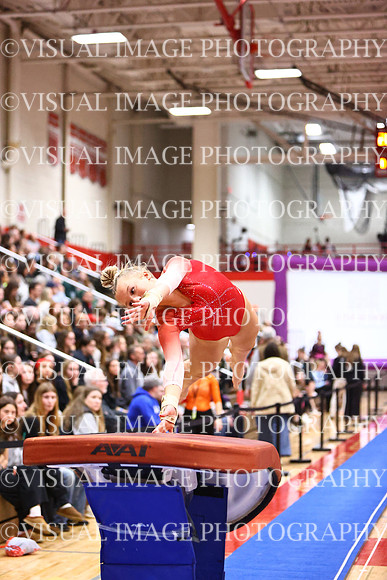 WIGYMG26_VAULT_I0005