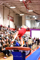 WIGYMG26_VAULT_I0006