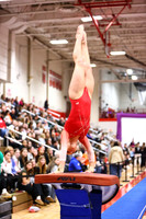 WIGYMG26_VAULT_I0008