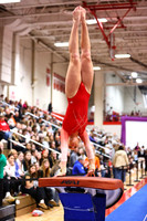 WIGYMG26_VAULT_I0009