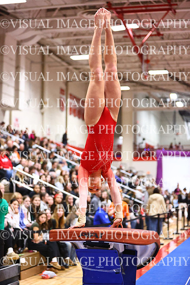 WIGYMG26_VAULT_I0009