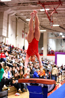 WIGYMG26_VAULT_I0010
