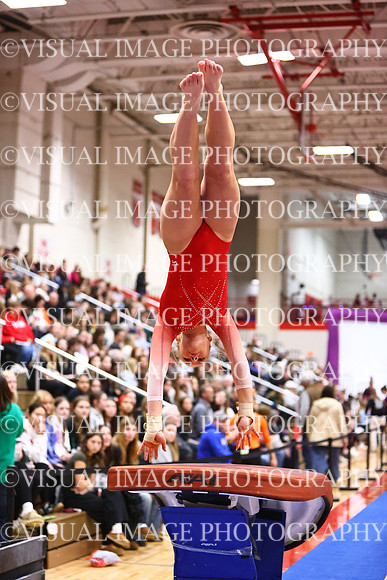 WIGYMG26_VAULT_I0010