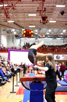 WIGYMG26_VAULT_I0011