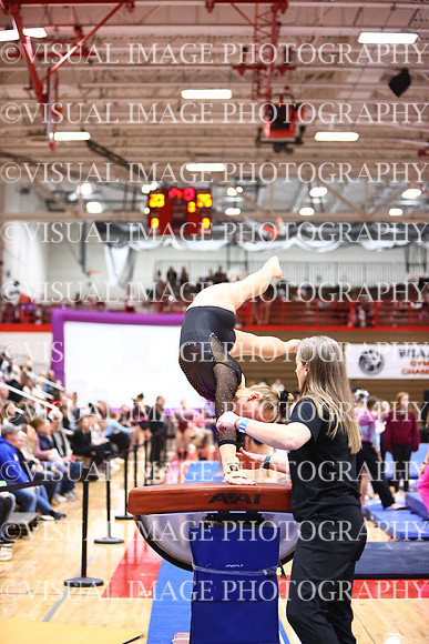 WIGYMG26_VAULT_I0011