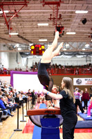 WIGYMG26_VAULT_I0012