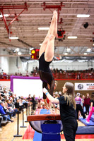 WIGYMG26_VAULT_I0013