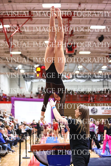 WIGYMG26_VAULT_I0014
