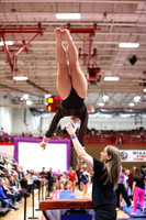 WIGYMG26_VAULT_I0015