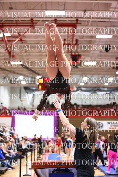WIGYMG26_VAULT_I0015