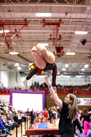 WIGYMG26_VAULT_I0016