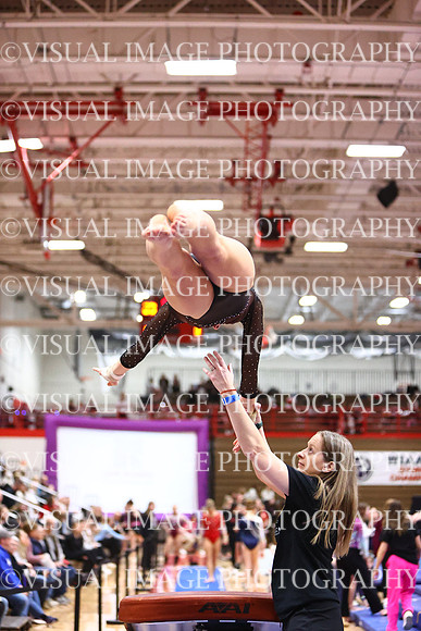 WIGYMG26_VAULT_I0016