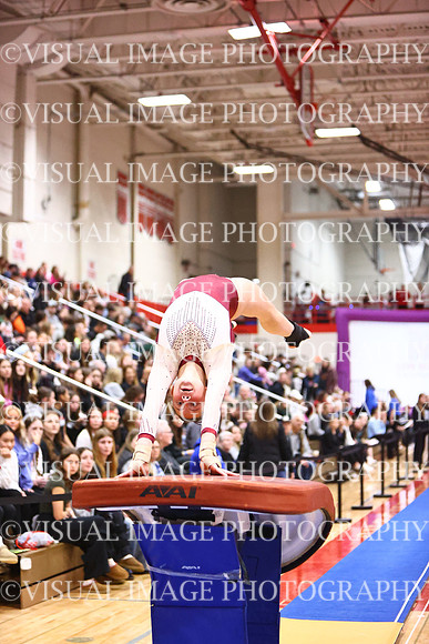 WIGYMG26_VAULT_I0017