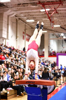 WIGYMG26_VAULT_I0018