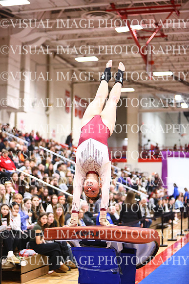 WIGYMG26_VAULT_I0018