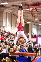 WIGYMG26_VAULT_I0019