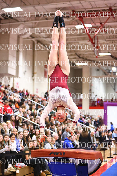 WIGYMG26_VAULT_I0019