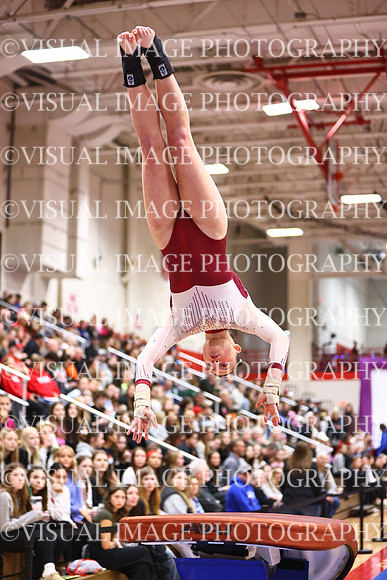 WIGYMG26_VAULT_I0020
