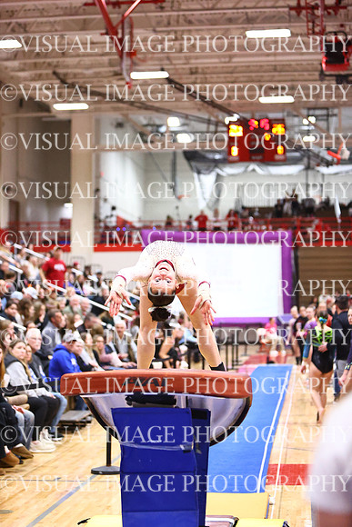 WIGYMG26_VAULT_I0021