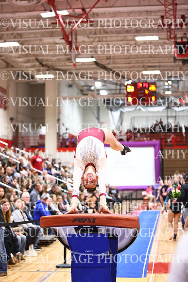 WIGYMG26_VAULT_I0022