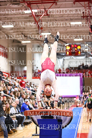WIGYMG26_VAULT_I0023