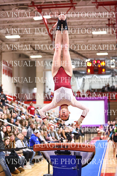 WIGYMG26_VAULT_I0024