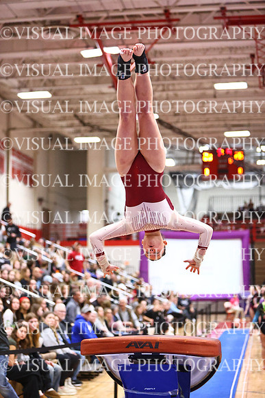 WIGYMG26_VAULT_I0025