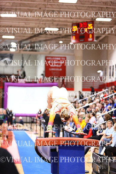 WIGYMG26_VAULT_I0033