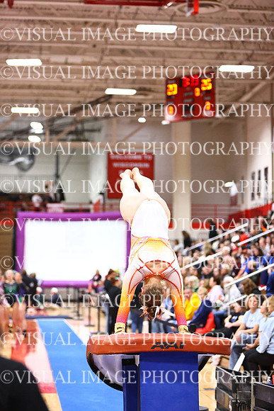 WIGYMG26_VAULT_I0034