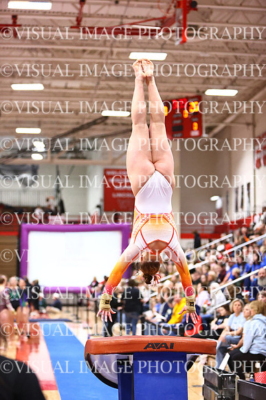 WIGYMG26_VAULT_I0036