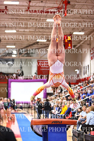 WIGYMG26_VAULT_I0037
