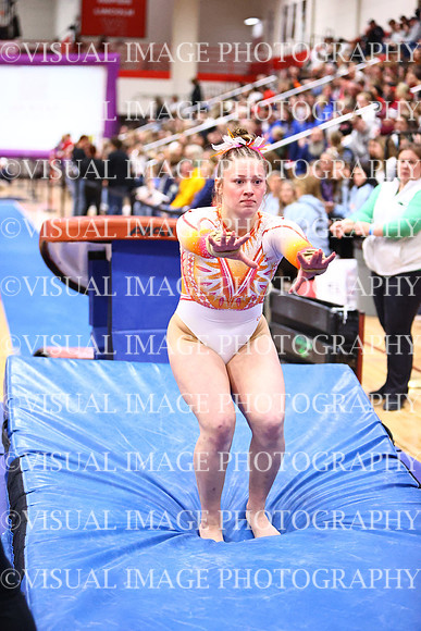 WIGYMG26_VAULT_I0040