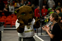 Beaver Dam vs Whitefish Bay