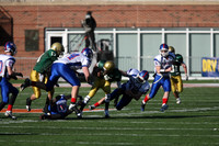 ILFB_10_610017