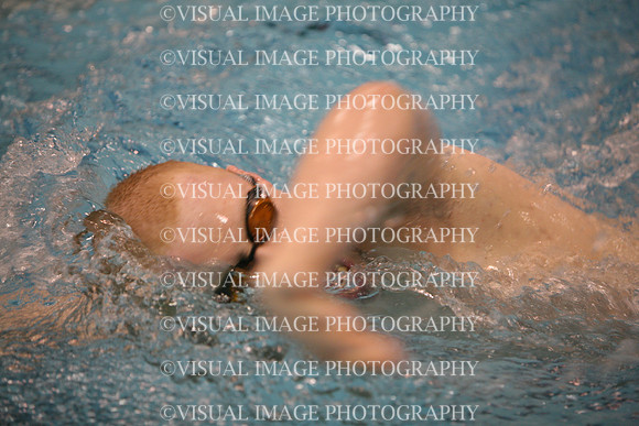 ilsw09_2rfree_f001