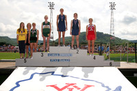 Pole Vault