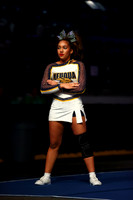 ILCHEER_24_L180020