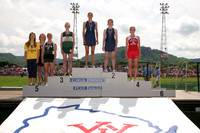 Pole Vault