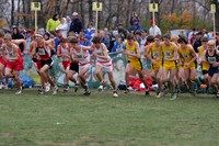 Class AA