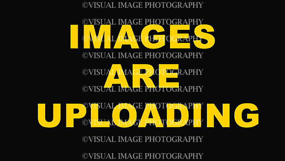 uploadpsd