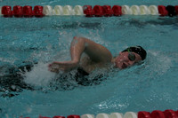 wiswg09_5free_2009