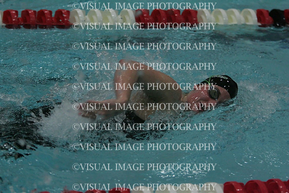 wiswg09_5free_2009